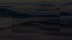 تعريف عن الشركة